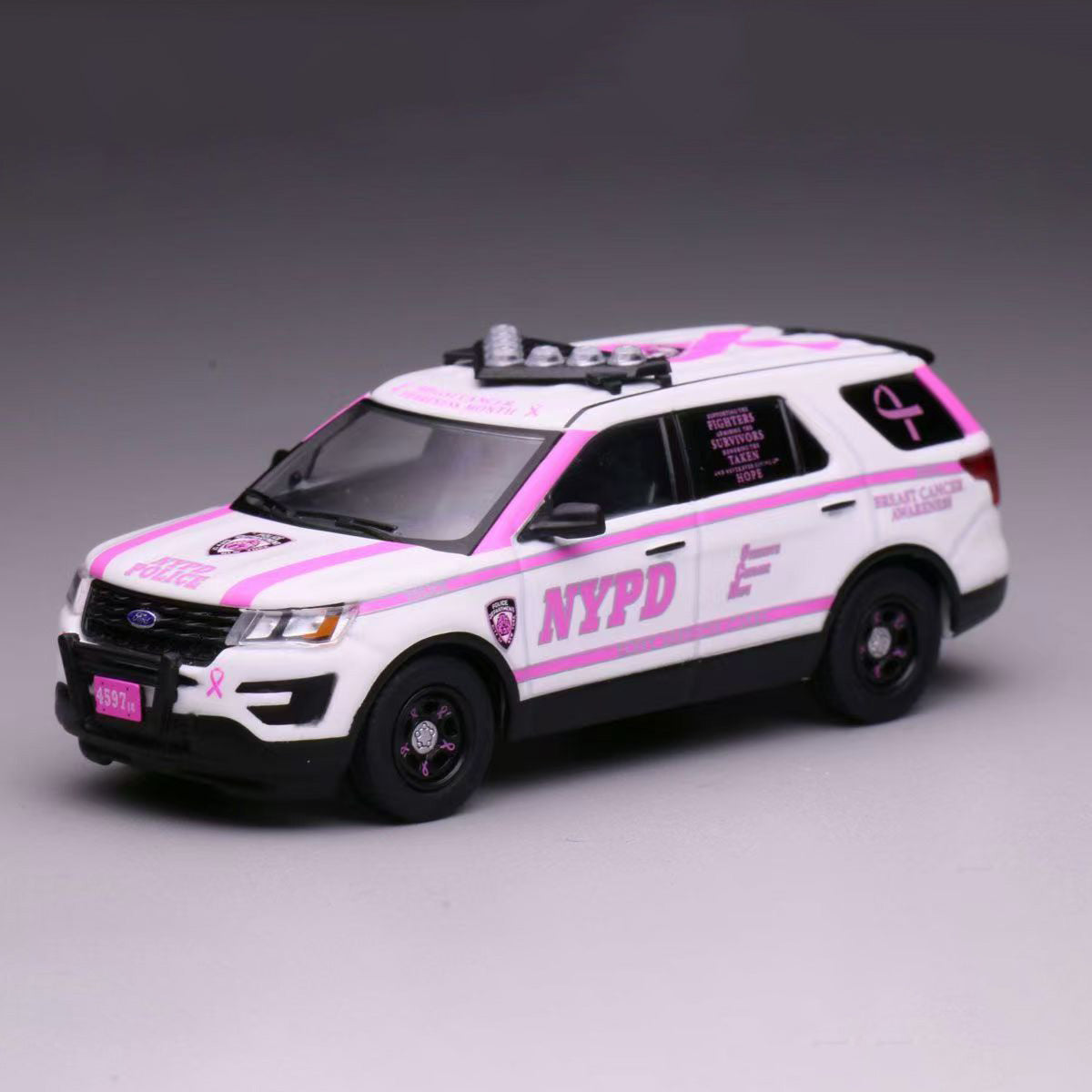 WEPD MODEL