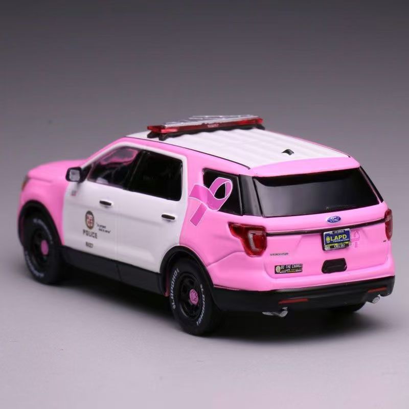 WEPD MODEL