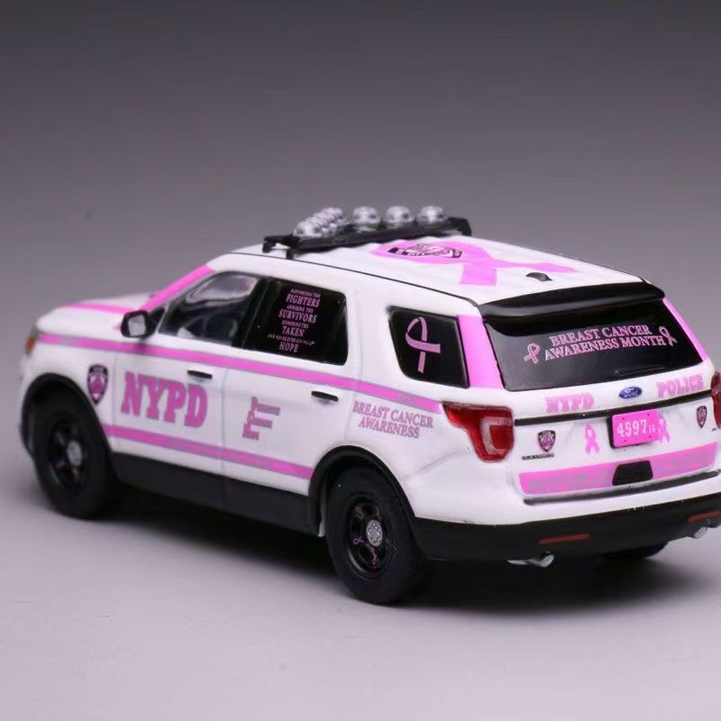 WEPD MODEL