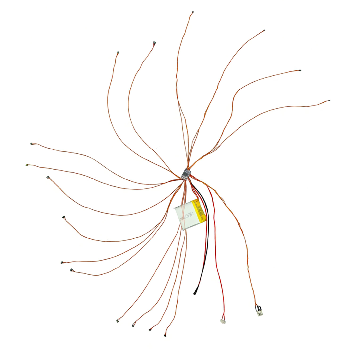 WEPD MODEL